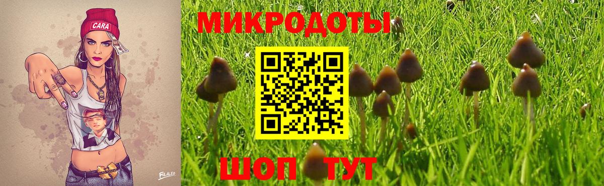 Псилоцибиновые грибы MAGIC MUSHROOMS  Вход с VPN  Тутаев 